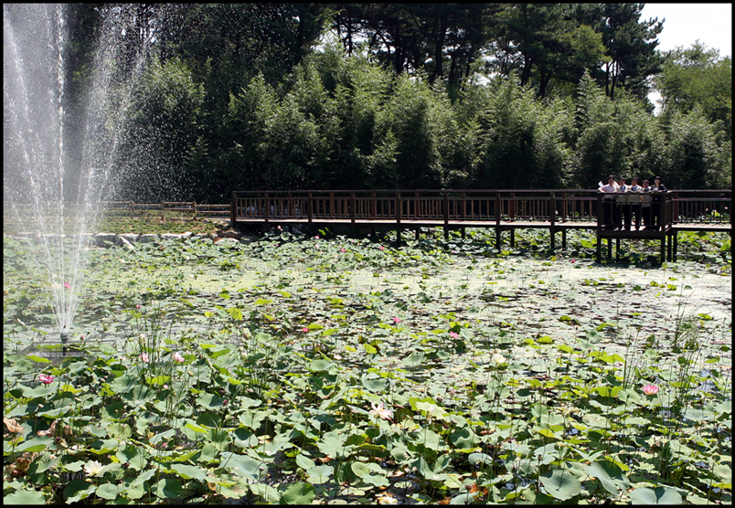 수변공원 현장방문(i)_1