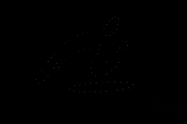 울산 남구 태화강 빛 축제_2