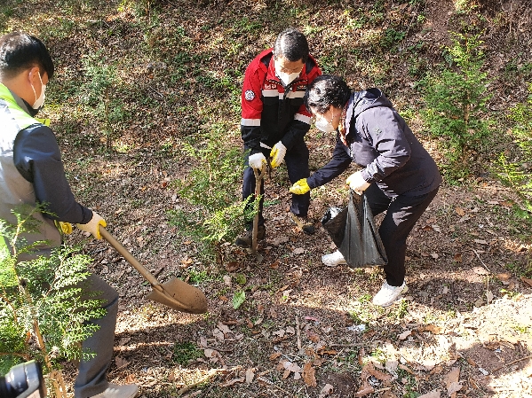 울산 남구 숲가꾸기 행사_7