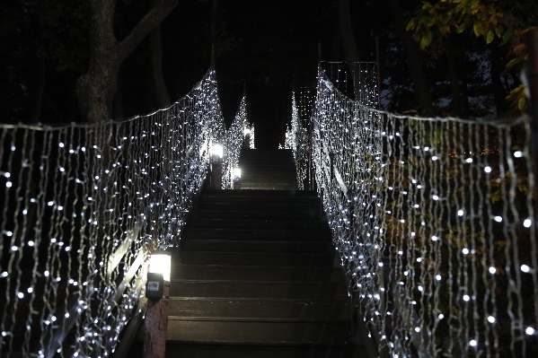 선암호수공원 크리스마스 트리 점등식_7