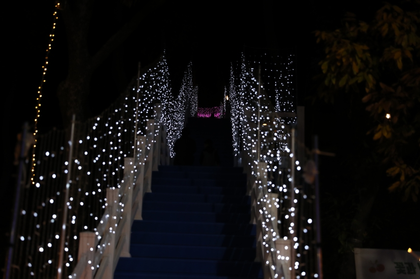 선암호수공원 크리스마스트리 점등식_9