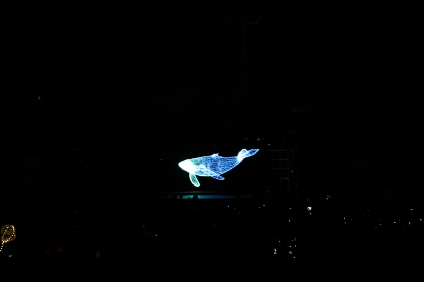 2024 고래축제 개막식_5