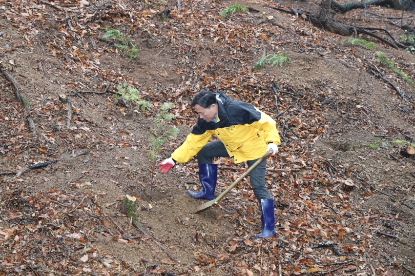 제81회 식목일 기념 나무심기_6